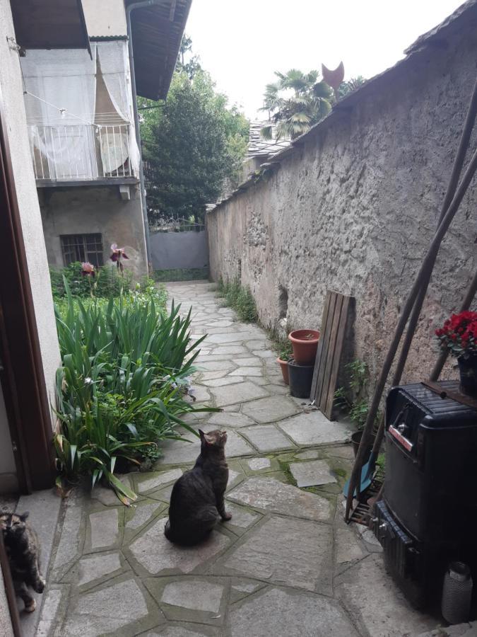 Отель La Marmotta Luserna San Giovanni Экстерьер фото