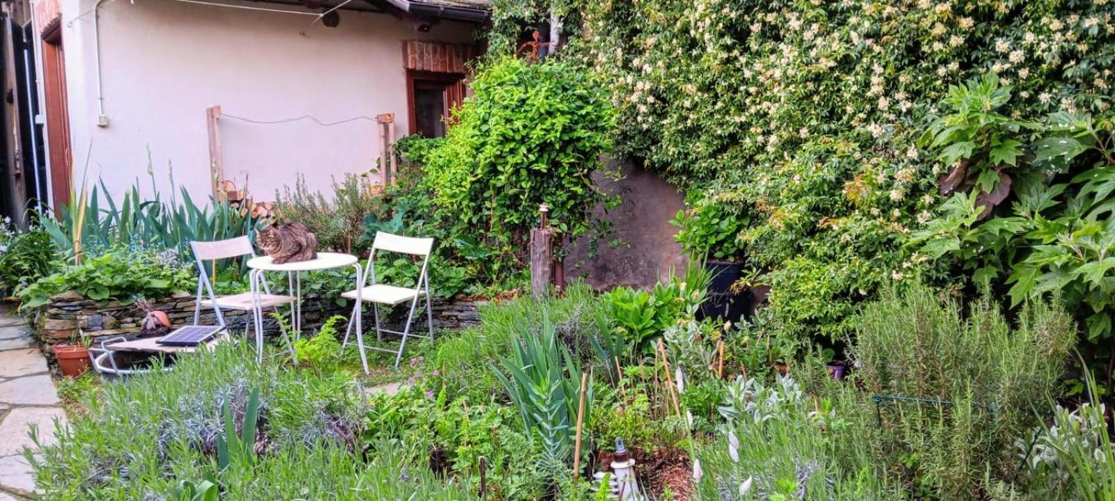 Отель La Marmotta Luserna San Giovanni Экстерьер фото